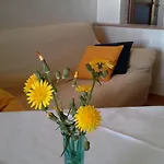 Il Pianista Sul Mare
