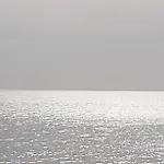 Il Pianista Sul Mare *