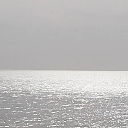 Il Pianista Sul Mare *